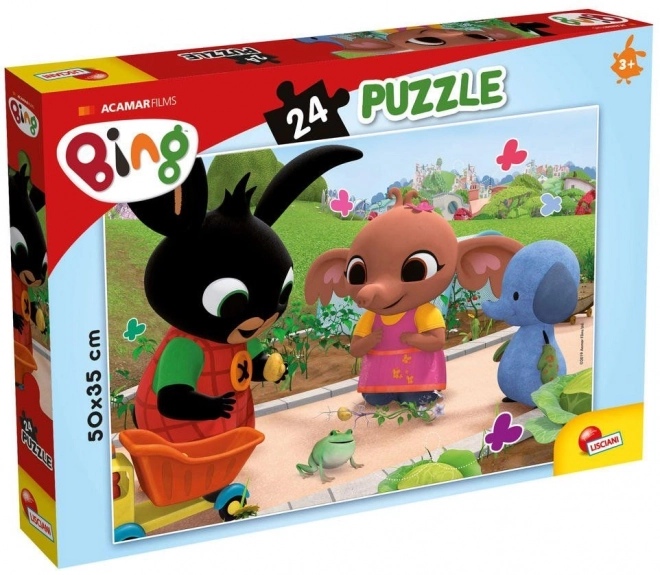 BING - Kikkerpuzzel 24 stukjes