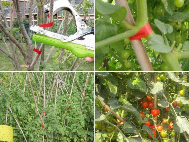 Gartenpflanzen-Heftgerät für Weinreben und Tomaten