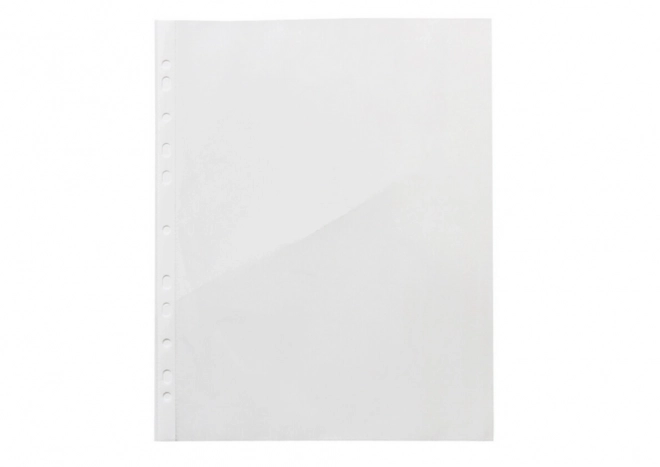 Transparent Document Sleeves A4 100 Pack