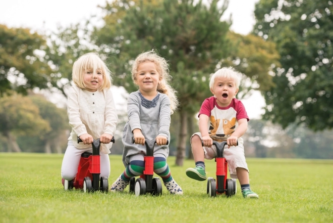 Lena Rolcyclus / loopfiets - kleurrijk