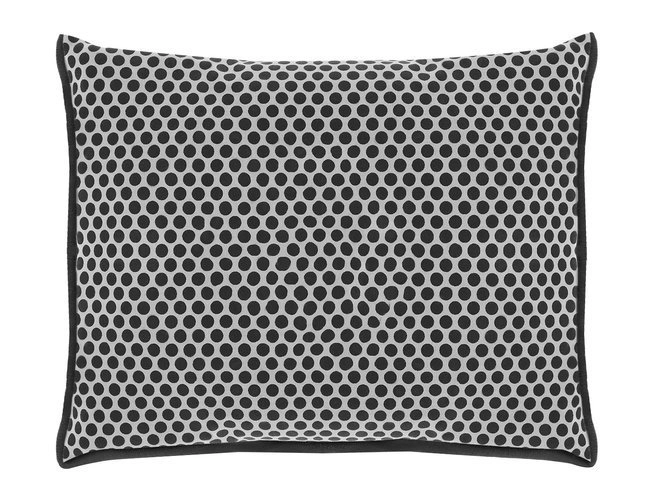 Déshumidificateur - absorbeur d'humidité pour voiture