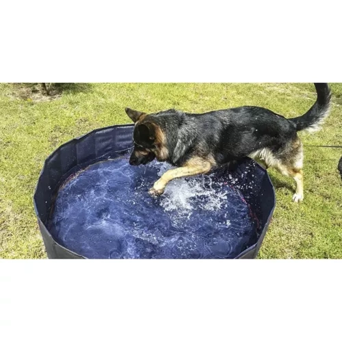 Zwembad/hok voor honden opvouwbaar 120x30 Purlov 23831