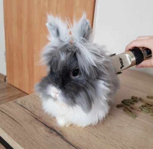 Quiet operation for calm grooming