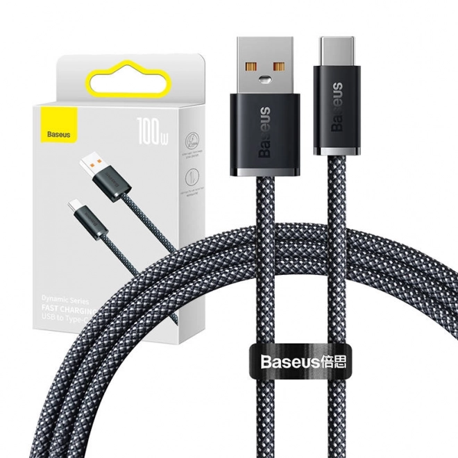 Kabel USB naar USB-C Baseus Dynamic-serie, 100 W, 1 m (grijs)