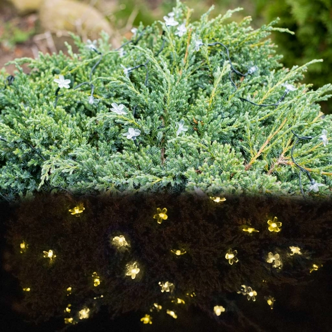 Zonnebloem Tuinverlichting 7m 50LED warm wit