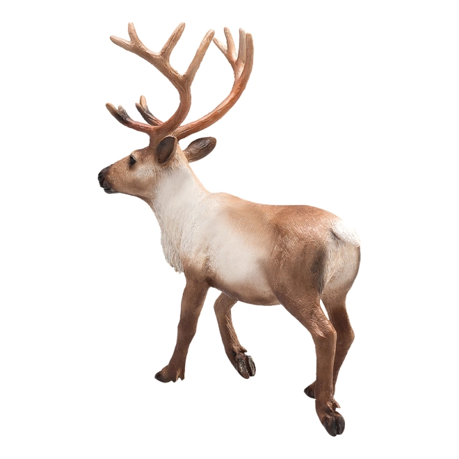 Lifelike details and realistic coloring