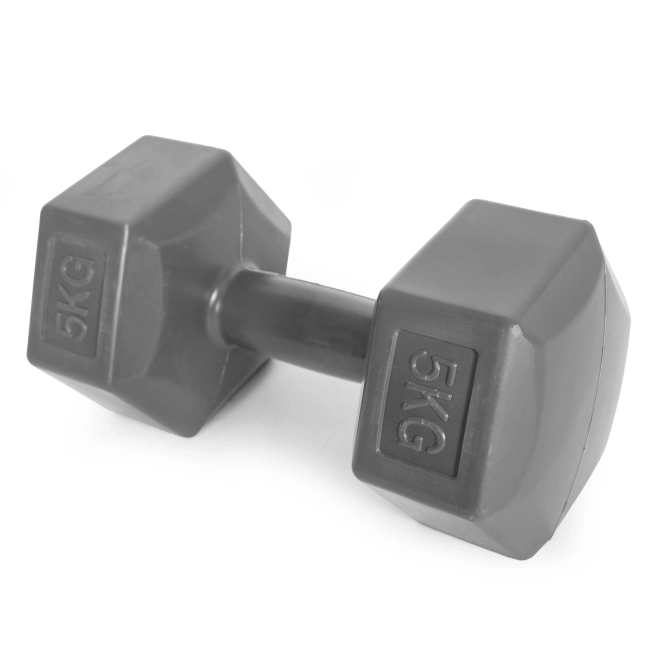 Set van zeshoekige halters 2x5 kg grijs ModernHome