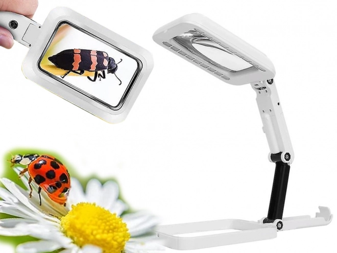 Large Foldable Desk Gem Magnifier with LED