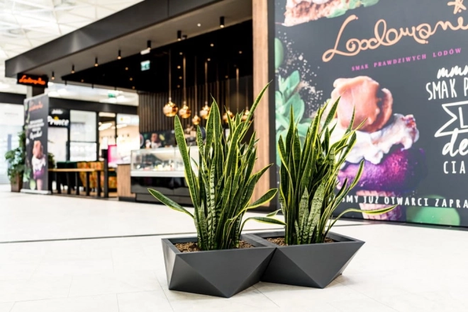 Design bloempot MONUMO VENDETTA hoogte 30 cm antraciet