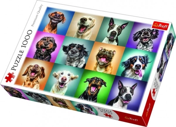 Funny Dog Portraits Puzzle – 1000 Pieces