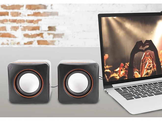 Computerspeakers met USB-voeding