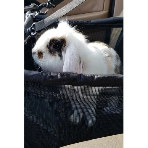 Purlov transportbox voor dieren in de auto