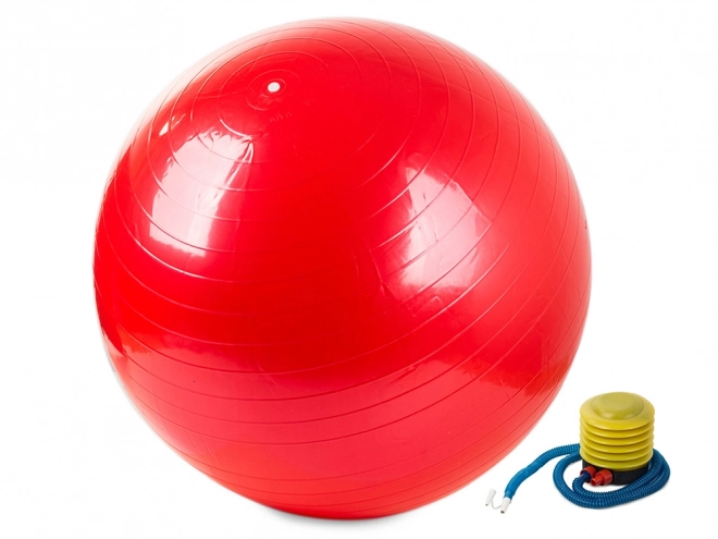 Gymnastiekbal met pomp voor fitness en revalidatie