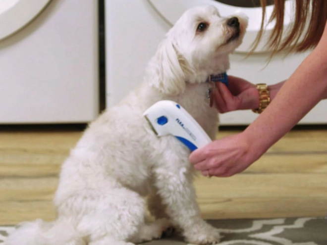 Elektrische vlooienkam voor honden en katten
