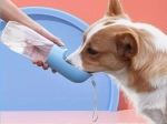 Bouteille d’eau portable pour chien et chat avec gamelle intégrée 350 ml