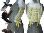 Abschreckende Vogelattrappe – Falke
