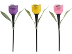 Solar-Gartenlampe Tulpe mit LED, Farbmix