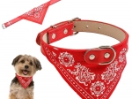 Halsband met bandana voor honden en katten