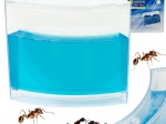Educational gel ant aquarium