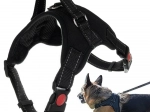 Harnais pour chien sans pression taille L avec éléments réfléchissants et boucle de sécurité