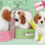 Paint it! Paint by Numbers: Cute Puppies