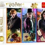 HARRY POTTER Puzzle – 200 Pieces in the World of Magic and Wizardry