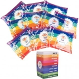 Holi color powder – set of 10×100 g