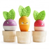 Wooden Vegetable Flower Pots LE TOY VAN