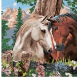 Diamond Painting Horse Harmony 30 × 40 cm