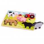 Bigjigs Toys wooden insert puzzle farm
