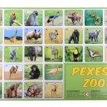Pexeso ZOO Animal Photography