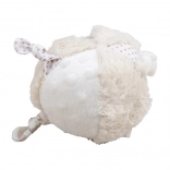 Bigjigs Baby Puppy – active plush rattle ball