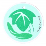 Natürlicher Geschirr-Schwamm – grün