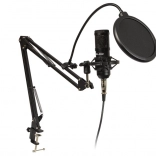Microphone de studio avec support