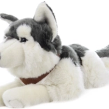 Plush Lying Husky with Straps 60 cm