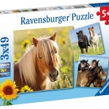 Ravensburger puzzle cute horses 3×49 pieces