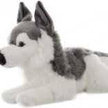 Plush Husky 43 cm