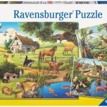 RAVENSBURGER Puzzle animals in the forest, at the zoo and on the farm 3×49 pieces