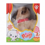 Wandelende bruine hond