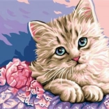 diamond painting Cat Eyes 30 × 40 cm – NORIMPEX