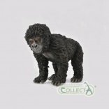 Mountain gorilla baby