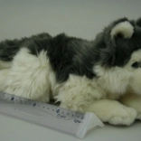 Plush Husky Dog 35 cm