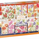 Puzzle Nederlandse tulpen 1000 stukjes JUMBO