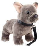 Plush French Bulldog with Leash 23 cm