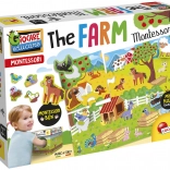 Montessori Game Farm