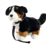 Plush Bernese Mountain Dog with Leash