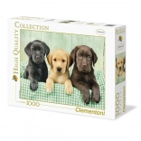 Puzzle 1000 Pieces Three Labradors