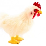 Plush White Rooster