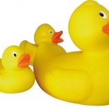 Lena Duck Family