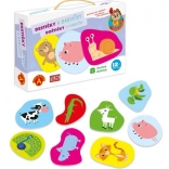 Alexander learning for little ones – color tiles